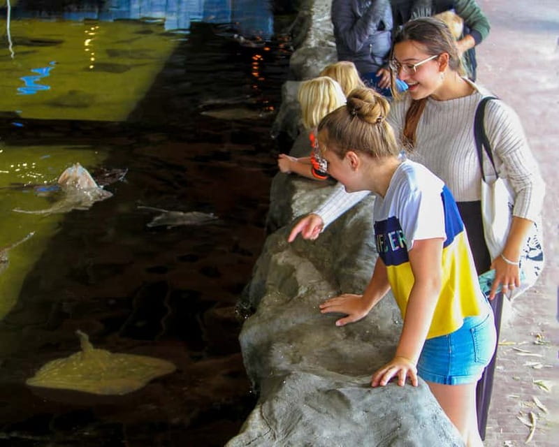Harderwijk: Dolfinarium Entry Ticket - Waterpret outdoor slides: make it count on hot summer days