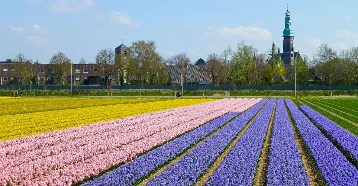 Keukenhof: Flower Fields Small-Group Cultural Bike Tour - My booking advice: should you do this tour?