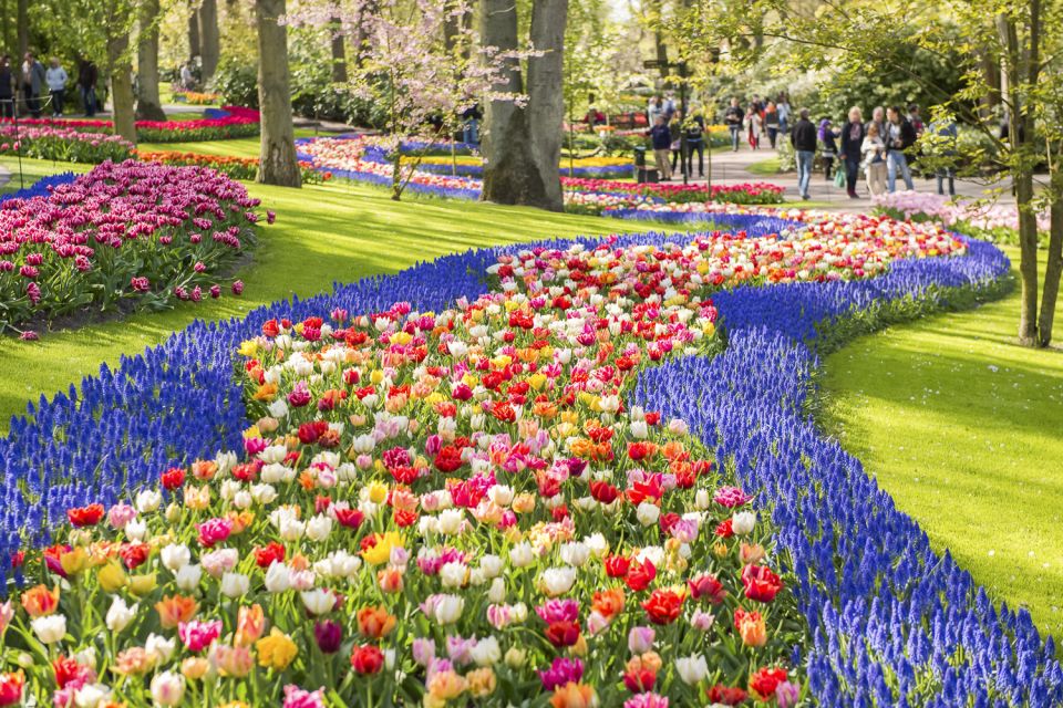 Keukenhof: Flower Fields Small-Group Cultural Bike Tour - Who should book, and who might prefer something else