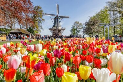 Keukenhof Gardens & Tulip Experience Tour from Amsterdam - Keukenhof Gardens: 32 hectares to roam, with self-paced time