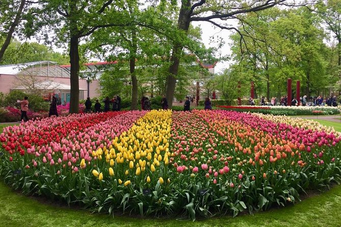 Keukenhof's Tulips and Windmills Small-Group Tour from Amsterdam - Who should book this Keukenhof and windmills tour