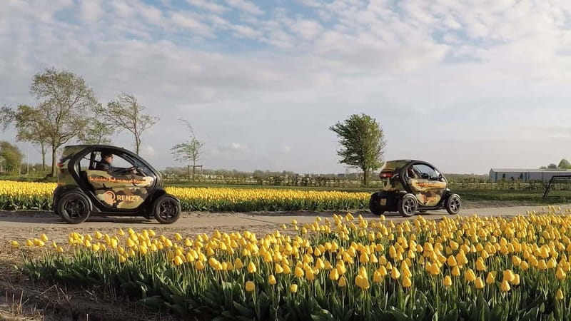 Lisse: Self-Guided Tulip Fields GPS Audio Tour - The Renault Twizy Experience: Easy Automatic Driving, Real-World Limits