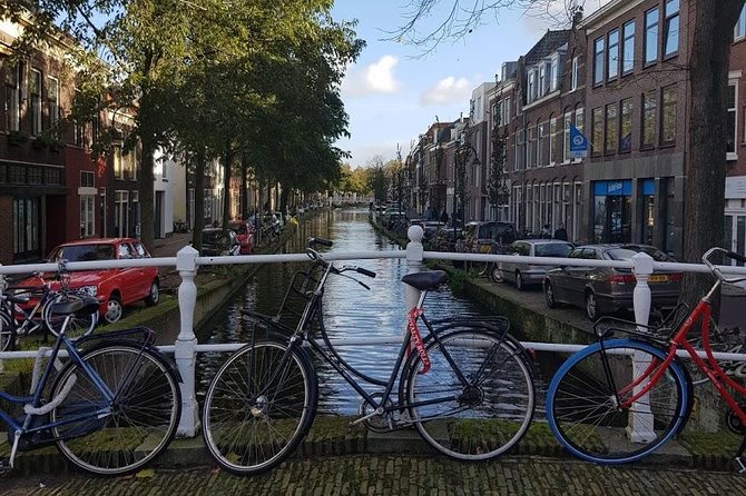 privatetour Delft, The Hague&Rotterdam Kinderdijk from Amsterdam - Royal Delft Experience: how Delft blue traveled the world
