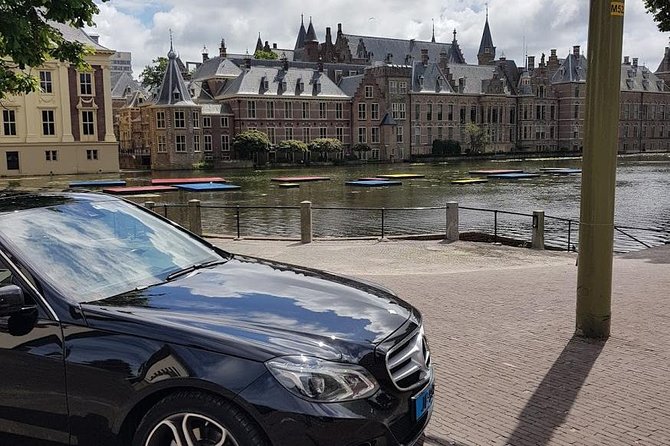 privatetour Delft, The Hague&Rotterdam Kinderdijk from Amsterdam - Mauritshuis pause and Binnenhof & Ridderzaal: politics in motion