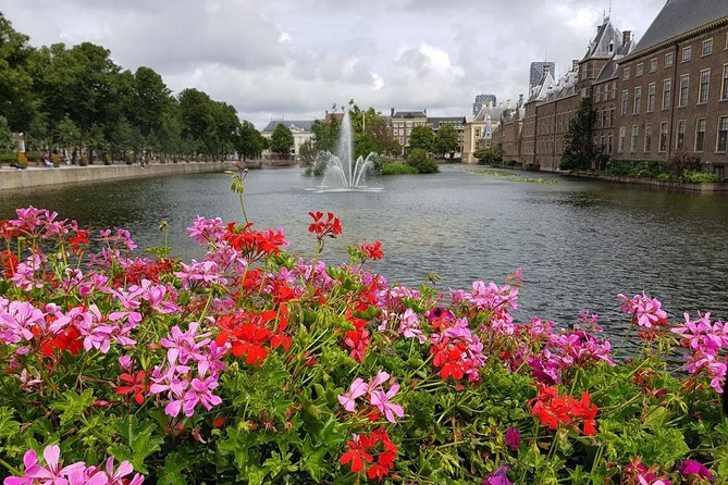 privatetour Delft, The Hague&Rotterdam Kinderdijk from Amsterdam - Pickup, comfort breaks, and the calm of private transport