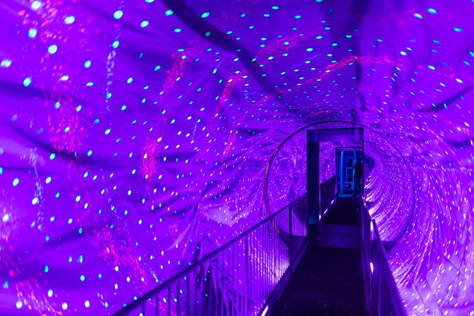 Ripley's Believe It or Not! Amsterdam Admission Ticket - Price and value: when $27.03 feels fair