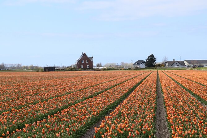 Small Group Keukenhof and Delft Guided Tour from Amsterdam - Group size, vans, and hearing your guide in English