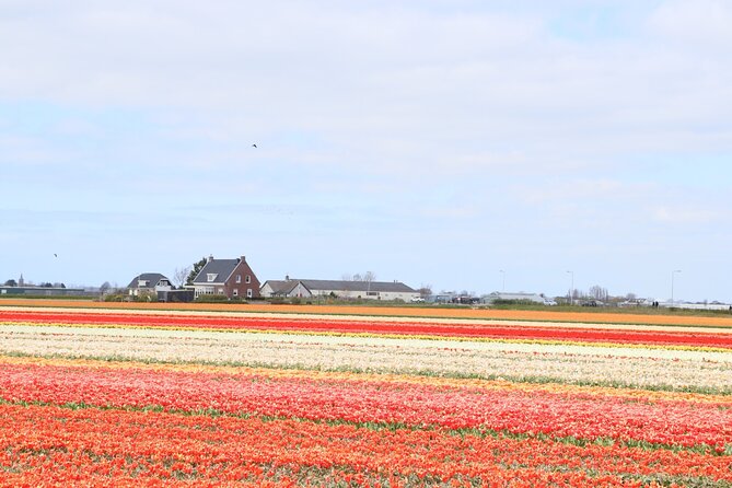 Small Group Keukenhof and Delft Guided Tour from Amsterdam - What I’d do differently if I were booking again