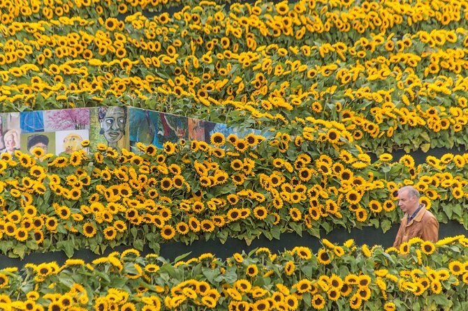 Van Gogh Museum Skip the Queue with Audio Guide - Price and value: what you’re paying for